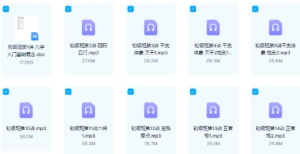 客舟堂子平命理初级录音文档+中级录音文档