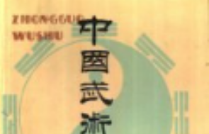 中国武术实用大全pdf