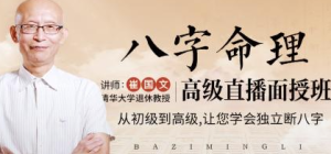 崔国文八字课程