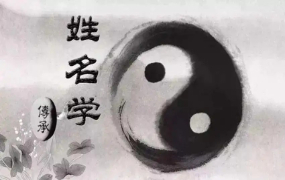 谢幸材姓名学课程视频