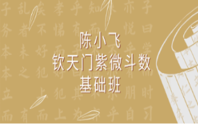 陈小飞 钦天门紫微斗数 基础班29集