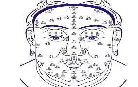 基础面相学讲座教学视频12集