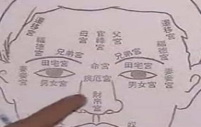 翁向宏-《面相学》课程12讲全套