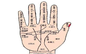 翁向宏《手相应用》课程全套