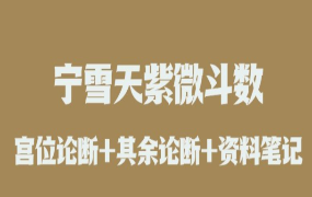 宁雪天紫微斗数录音+文档资料