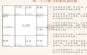王员外斗数紫微斗数课程
