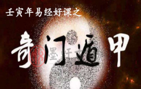 刘文元弟子晓午2022年12月奇门视频+课件pdf