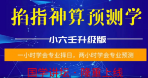 陈法学小六壬《掐指神算预测择日学》(择日学和预测学综合版)