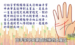 零基础入门到精通，真人案例传统手相结合西方占星理论