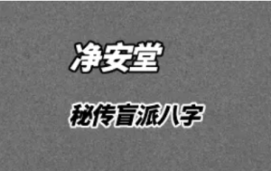 净安堂《秘传盲派八字》视频16集