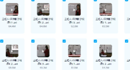 王红人-面相教学视频+笔记 21视频+讲义