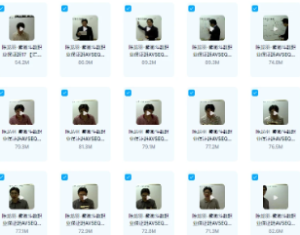 陈龙羽–紫薇斗数职业保证班